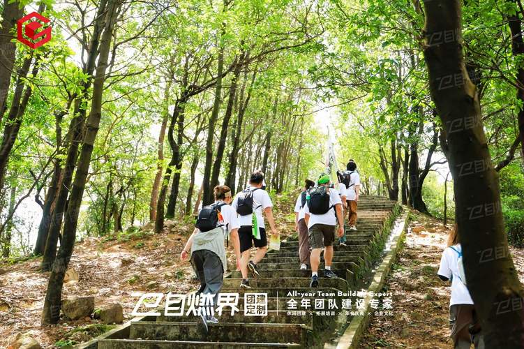 2026年香港户外拓展训练营选哪家好靠谱商家测评排名